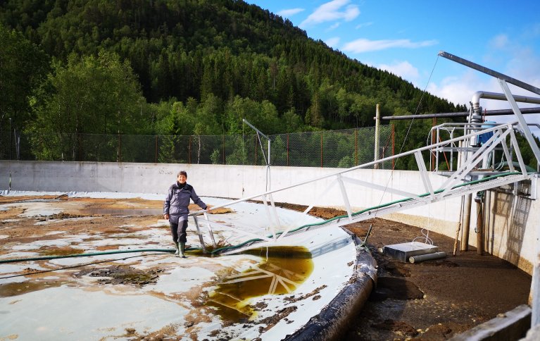 KLIMAGASSUTSLIPP TEMPERATURAVHENGIG: Utslipp av klimagasser fra norske gjødsellager er temperaturavhengig.