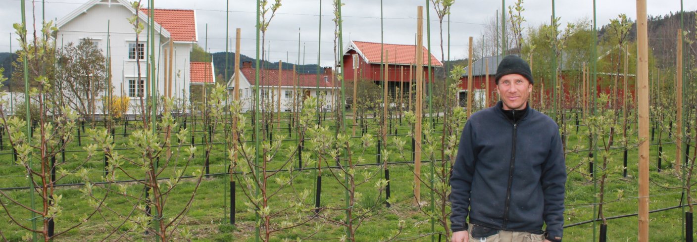 - Begge deler bør være like naturlig. Jeg er litt lei av skillelinjene fordi norsk mat er bra uansett. Man skal ikke måtte forsvare at man velger økologisk, sier Røste. Foto: Mikkel Aanderaa / FMHO