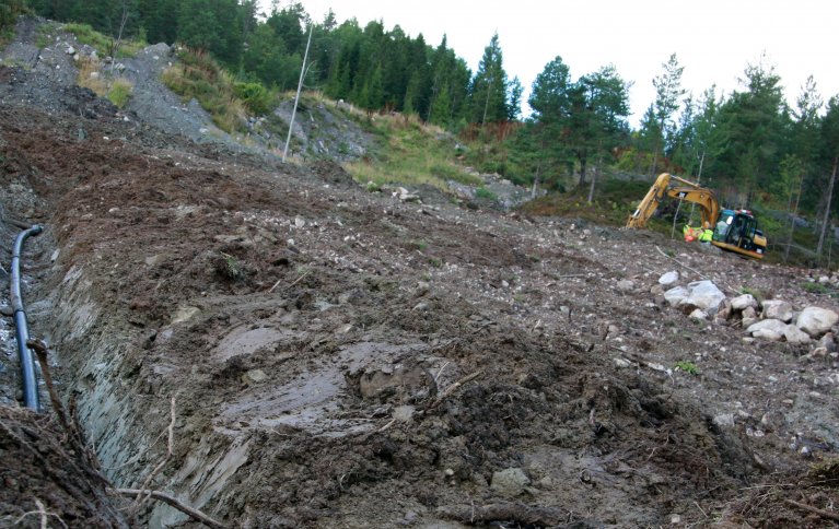 Betre dreneringstilstand og mindre pakking av jorda er viktige for å få gode agronomiske resultat. Foto: Anita Land