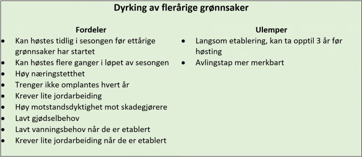 Fordeler Og Ulemper Med Flerårige Grønnsaker