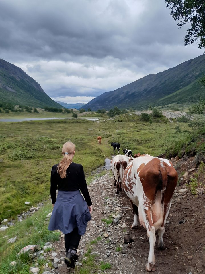 Å jobbe ute med dyra hver dag skaper et sterkt fellesskap og godt samhold i gjengen