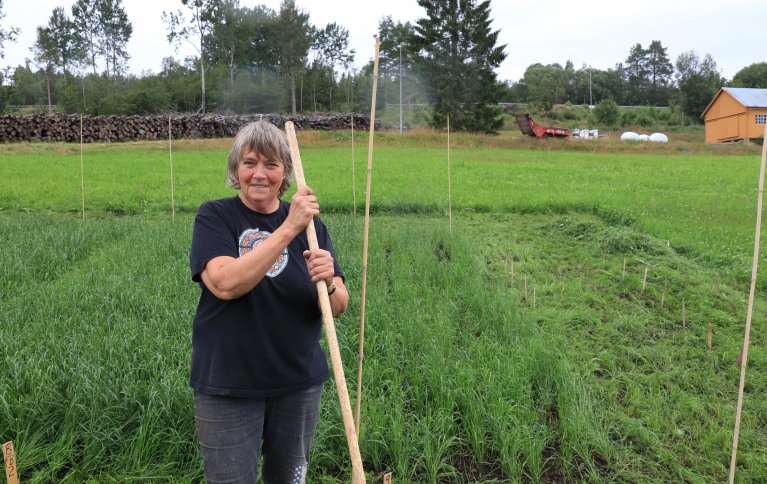 Seniorforsker Anne-Kristin Løes i NORSØK har ledet en rekke forskningsprosjekter for å bruke marine restråstoff som gjødsel. Foto: Vegard Botterli