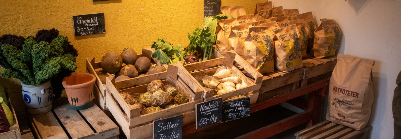 Markedshager bidrar til økt produksjon av lokale grønnsaker. Forskere har undersøkt hva som skal til for å styrke denne driftsformen. Bildet viser en gårdsbutikk med grønnsaker fra en markedshage. Foto: Anne-Kristin Løes