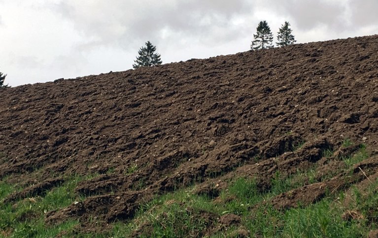 Lystgass utgjør en viktig del av klimagassutslippene fra landbruket. Foto: Anita Land