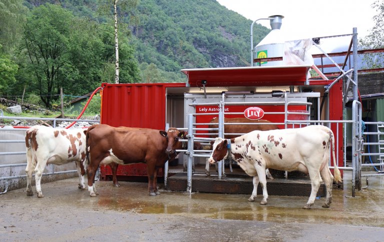 Mobil melkerobot muliggjør bedre utnyttelse av beiter på setra. Foto: Rosann Johanssen