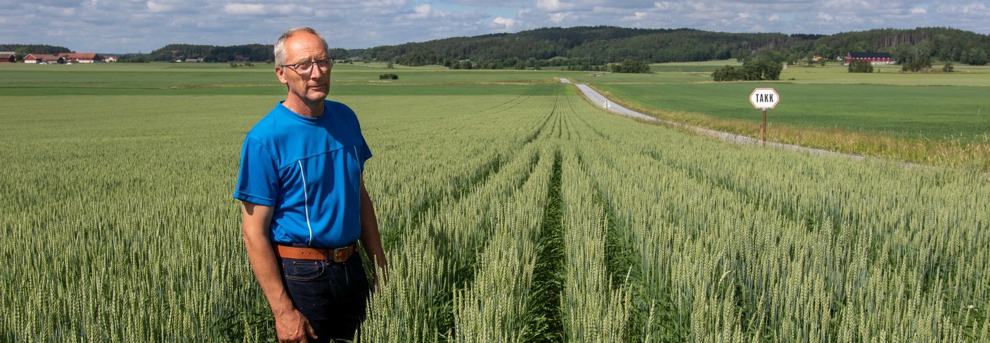 FAGLIG MOTIVASJON: Økologisk dyrking krever mer kunnskap. Erik Sørli fant ny faglig motivasjon da han la om kornproduksjonen.   . Foto: Morten Berntsen Livenengen