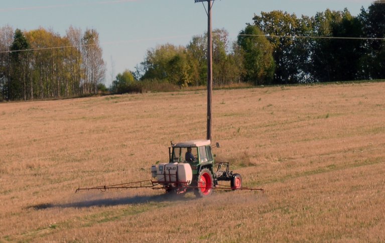 Foto: Reidun Aspmo