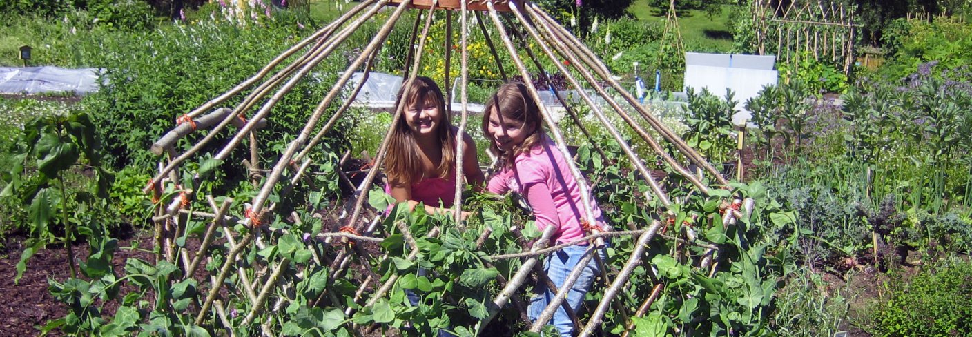 Mye fint og nyttig til skolehagen kan lages i kunst- og håndverkstimene, for eksempel insekthotell, gjerde og portal flettet av pil og et telt som ertene kan vokse på. Foto: Kirsty McKinnon