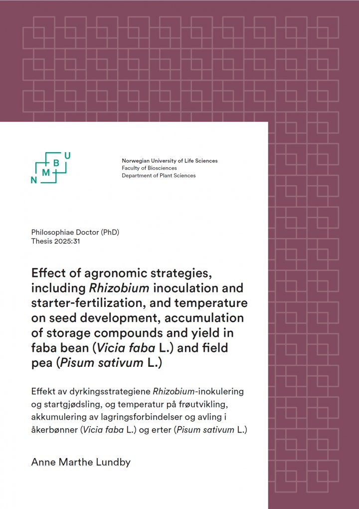 Bilde Lundby Avhandling Trykk på bildet for å lese avhandlingen