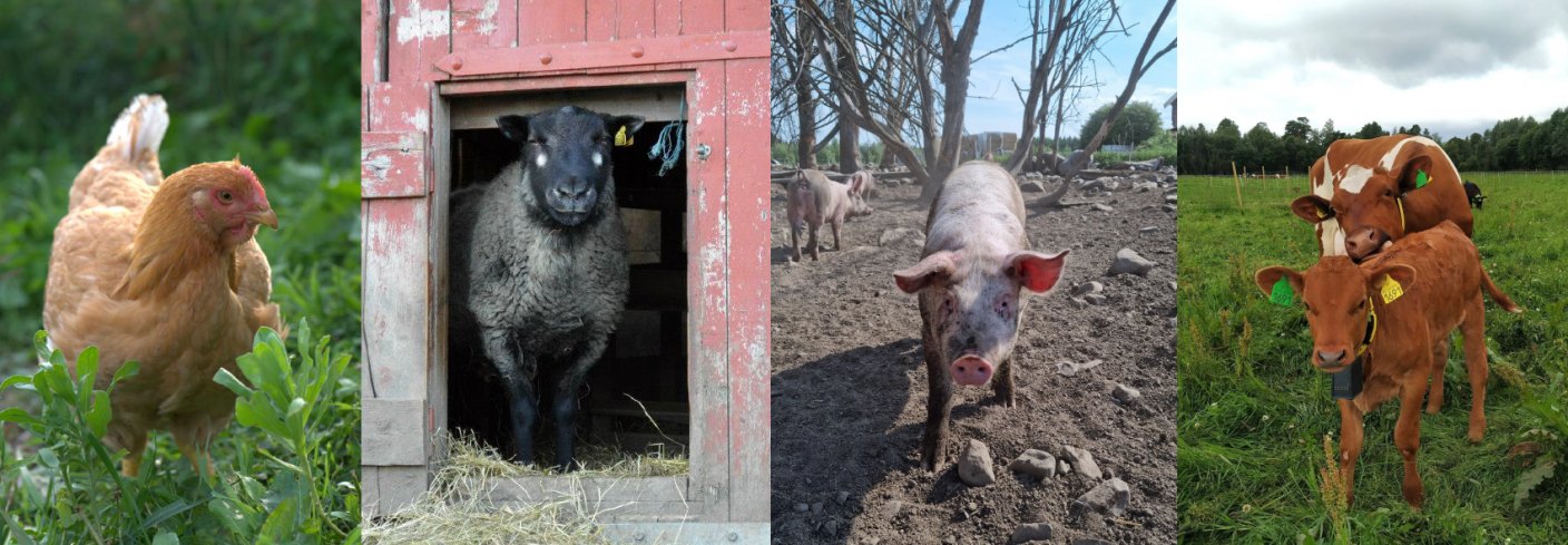 Agropub Smalere Lærematerial Agropub Smalere Lærematerial