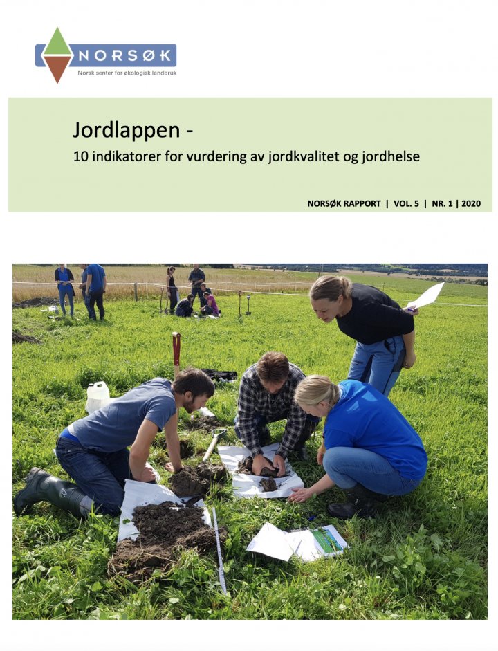 Jordlappen Rapport