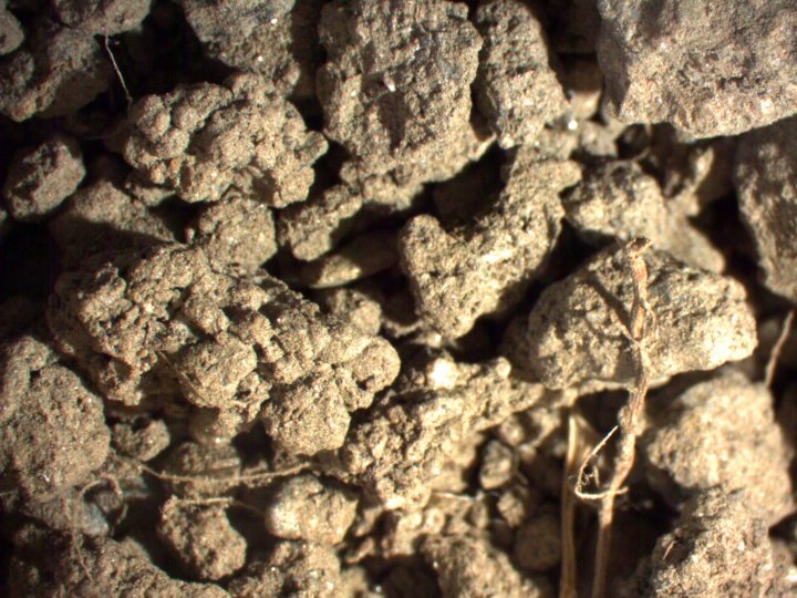 Bildet viser små og store jordaggregater (grynstruktur) forstørret fire ganger, samt et par døde røtter (nede til venstre) og litt planterester. Foto: Reidun Pommeresche