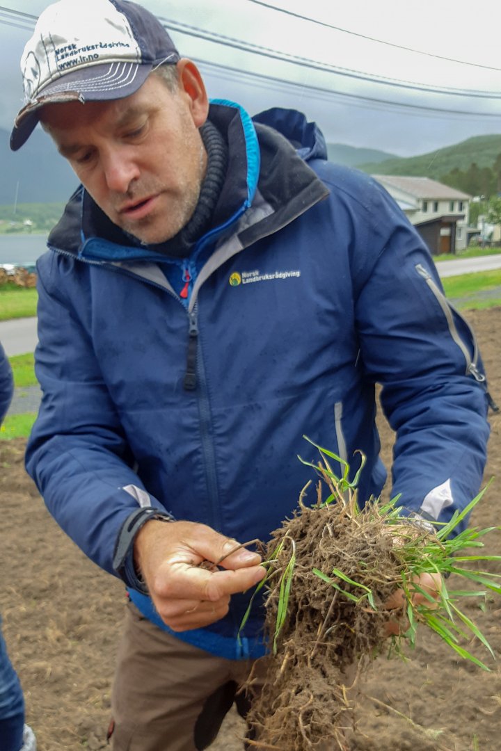 Rådgiver Thomas Holz i NLR Øst gir mange gode råd om grønnsaksdyrkinga. Her forklarer han hvordan man skal bli kvitt kveka. Foto: Ingrid Myrstad