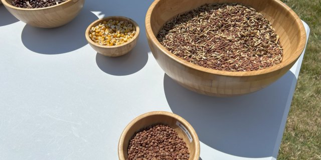 Fro Belgvekststudietur 2048X1536