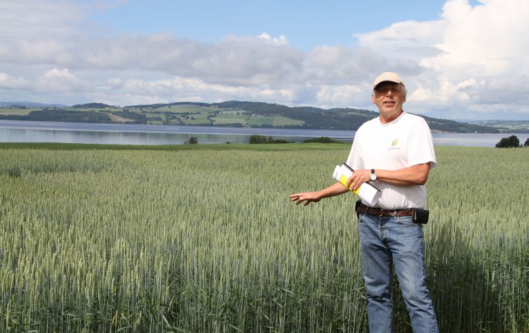 Jon Arne Dieseth, mannen bak kornsorter som Seniorita og Mirakel, mener at landbruket vil tjene på å ta vare på gener fra gamle kornsorter, men også å kombinere disse med nye, for landbruket er avhengig av at foredlere utvikler nye sorter. Foto: Eva Pauline Hedegart