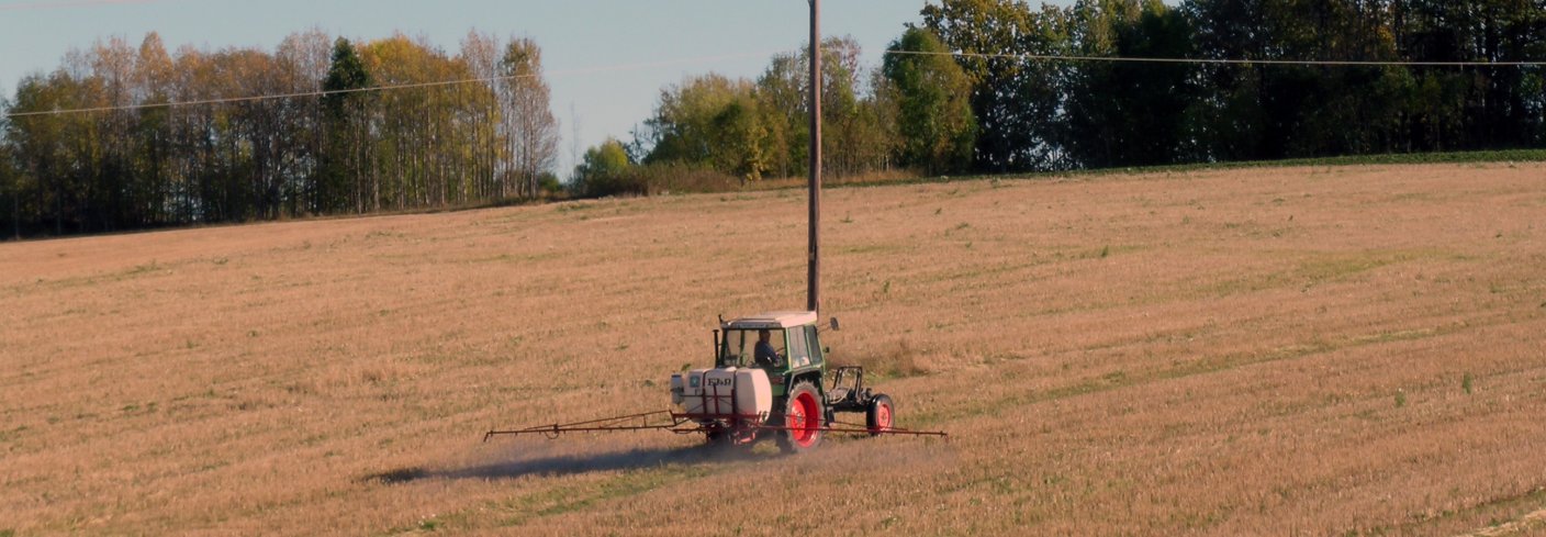 Foto: Reidun Aspmo