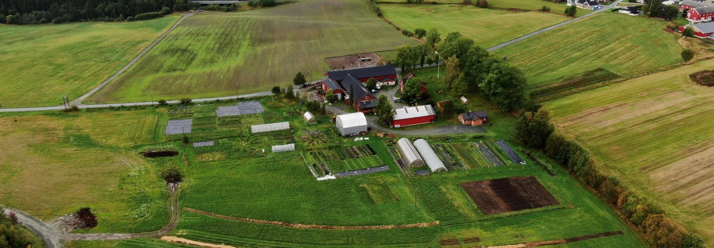 Reppe Søndre er en svært allsidig gård som er verdifull både for matproduksjon og som arena for flere sosiale initiativ. Foto: Lars Olav Stavnes