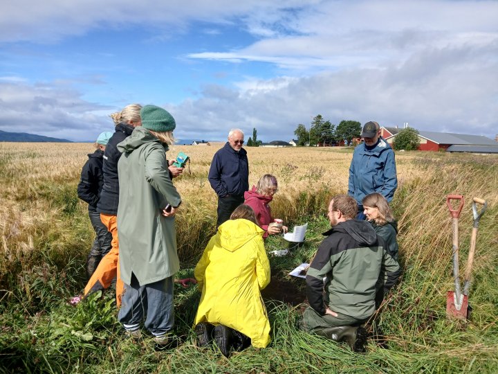 Stort engasjement rundt bedømming av jordas tilstand. Foto: Sara Hansdotter
