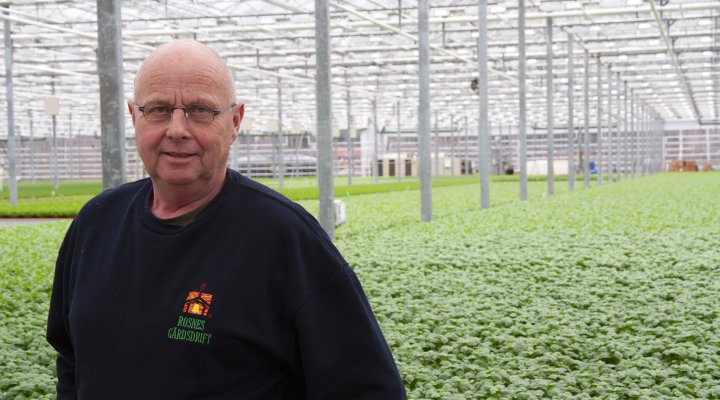 Erik Rosnes har måttet bruke dansk kompetanse for å få god nok jord til urtene han dyrke i drivhusa sine. De produserer urter hele året i de 10 mål store drivhusa. Foto: Anita Land