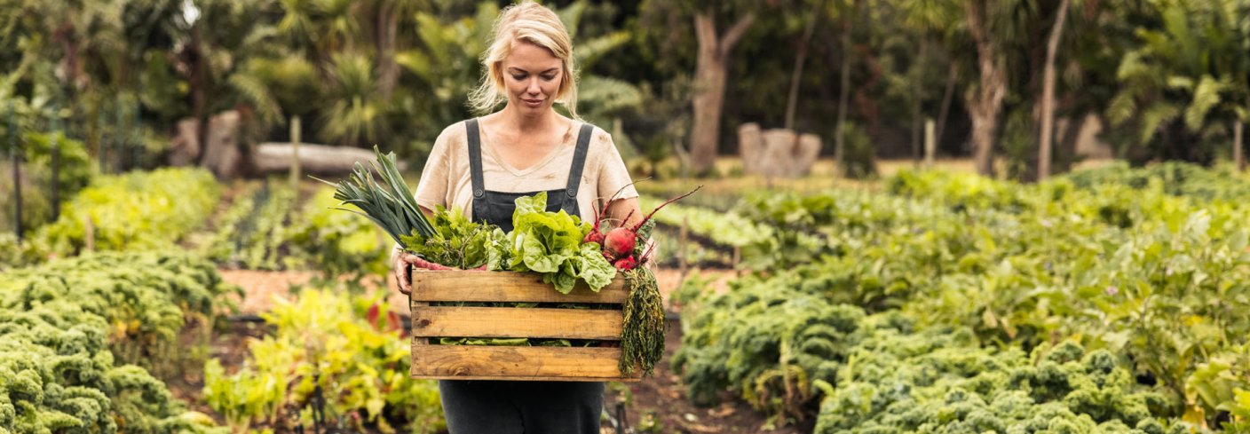 MER MAT ENN MANGE TROR: En kjøkkenhage kan produsere mye mat bare man har litt kunnskap om jord og planter. Nå har du tilgang til NORSØKs rike erfaring innen økologisk dyrking. . Foto: Adobe stock