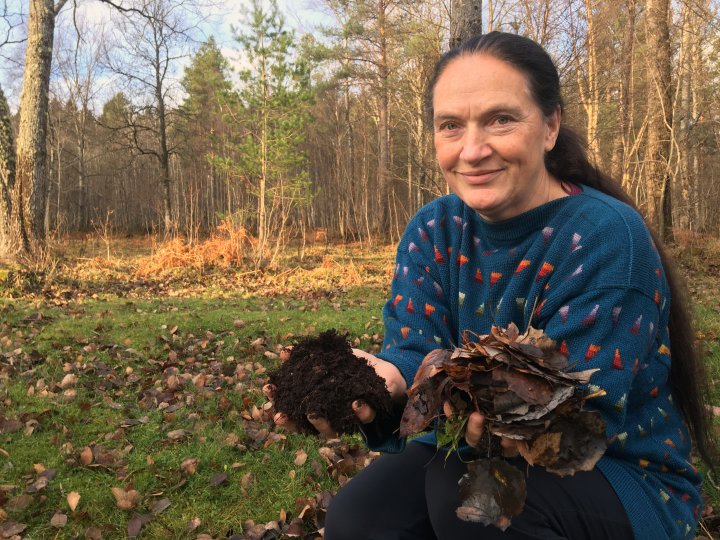 Lauv fra trær, blir god jord viser rådgiver Kirsty McKinnon som blir like fasinert hvert år, selv etter mer enn 30 med faget. Foto: Anita Land