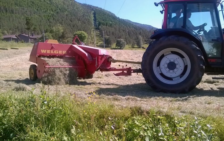 Ved bakketørking er det viktig med rask opptørking. . Foto: Grete Lene Serikstad