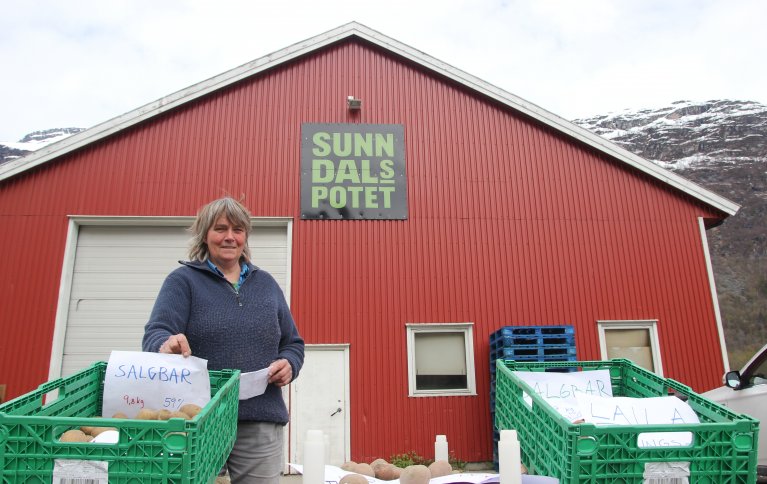 MER ØKOLOGISK POTET: Seniorforsker Anne-Kristin Løes med et utvalg av tidligsortene som ble testet i samarbeid med Sunndalspotet AS. Foto: Vegard Botterli