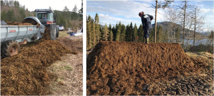 Kompostranke med MC-metoden. Ranken ble satt opp med Gafner-vogn og formet med traktorskuffe, greip og silogaffel. Foto: Sissel Hansen