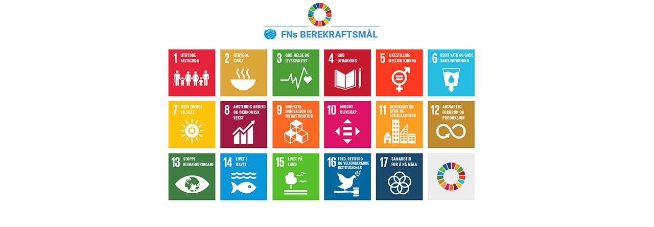 FNs bærekraftsmål beskriver 17 dimensjoner som de fleste land bruker som veikart i arbeidet med framtidig bærekraft. 