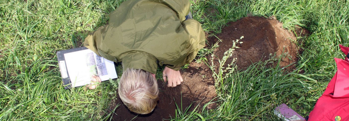 Hvordan er strukturen i jorda di? Grav et hull i bakken, og kikk nedi. Foto: Kari Bysveen