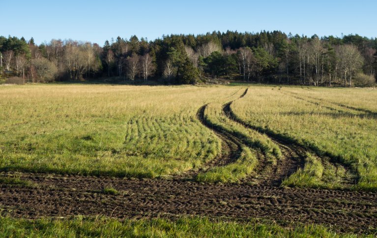 Store landbruksmaskiner kan sette dype spor på dyrket mark. Faste kjørespor er et godt virkemiddel for å berge røtter og nitrogenopptak i jorda. Foto: Public domain