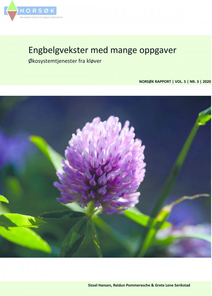 Norsø K Rapport Nr 3 2020 Engbelgvekster 1