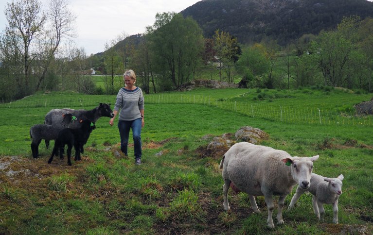 Kjersti Berge er fagkoordinator økologisk i Norsk Landbruksrådgiving (NLR) og leder av hovedkomiteen for Øko 2020. Foto: Ronja Svenning Berge