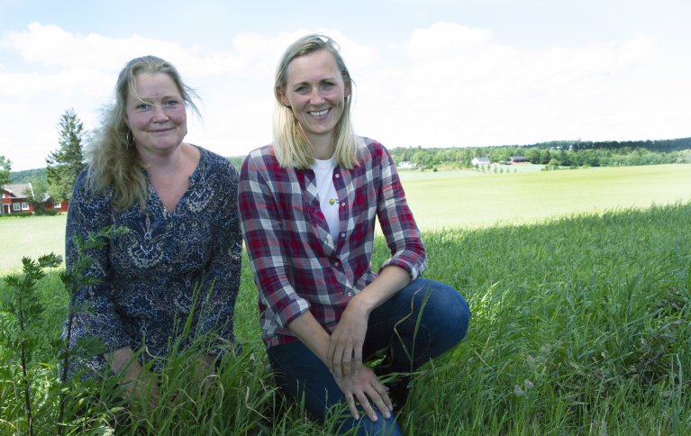 Landbruksrådgiverne Hege Sundet til venstre og Silja Valand til høyre. Foto: Anita Land
