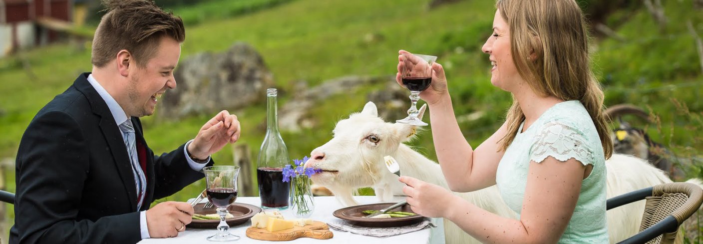 De  områdene i Norge egner seg ikke til korndyrking, og det meste av kornet vi dyrker her egner seg heller ikke til brødbaking. Jordbruket utenfor de beste jordbruksområdene består vesentlig av eng og beite, godt egnet til dyrefôr. . Foto: Debio