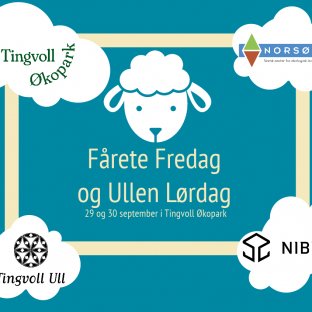Fårete Fredag 1 Fårete Fredag 1