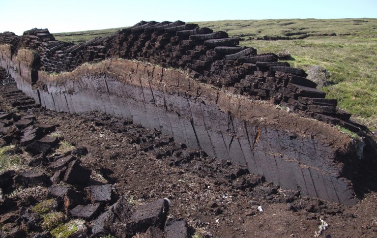 TORV: Torv fra myr egner seg svært godt som vekstmedium til planter, men samtidig hindrer utvinningen karbonlagring i myr. Dyrkere er avhengig av gode alternativer for å fase ut bruken av torv. Foto: nz_willowherb (CC BY-NC 2.0) www.flickr.com. Foto: nz_willowherb (CC BY-NC 2.0) www.flickr.com