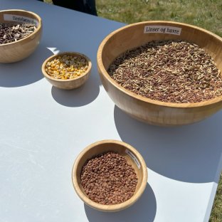 Fro Belgvekststudietur 2048X1536 Fro Belgvekststudietur 2048X1536