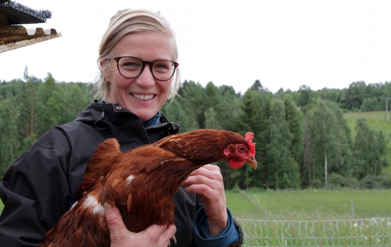 Mari Sandsund har 70 lykkelige og supertamme høner som flytter rundt i de «grønne enger». Foto: Anita Land