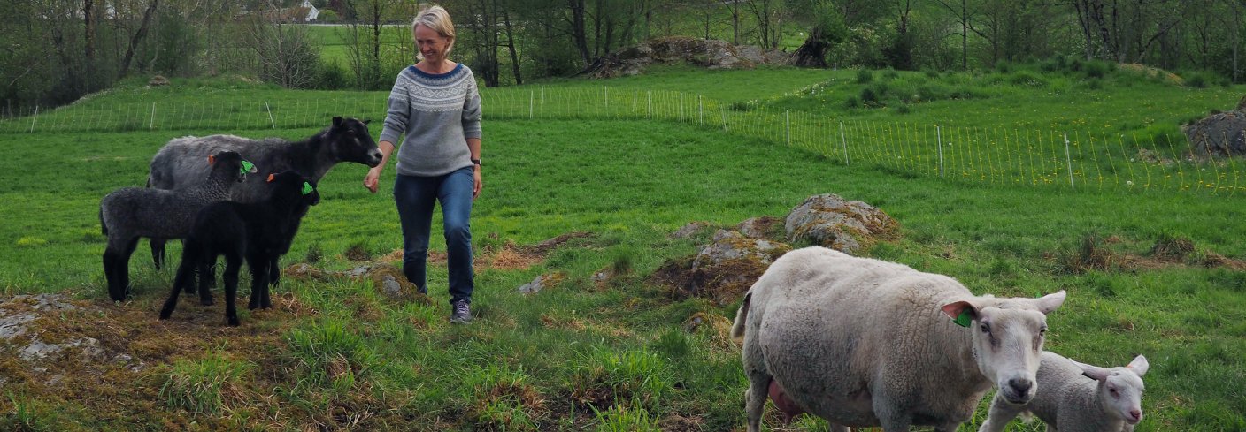 Kjersti Berge er fagkoordinator økologisk i Norsk Landbruksrådgiving (NLR) og leder av hovedkomiteen for Øko 2020. Foto: Ronja Svenning Berge