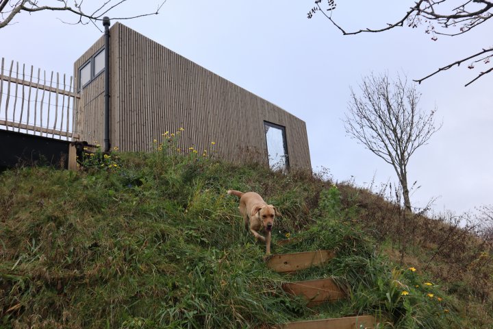 REISELIV: Hytta er plassert på toppen av en bunkers med utsikt rett inn i naturreservatet. Her kan du studere fuglene før du har stått opp av senga. . Foto: Rose Bergslid