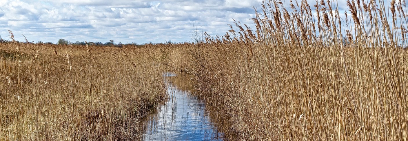 DRENERING: Viktig for agronomi og miljø. Foto: pxhere