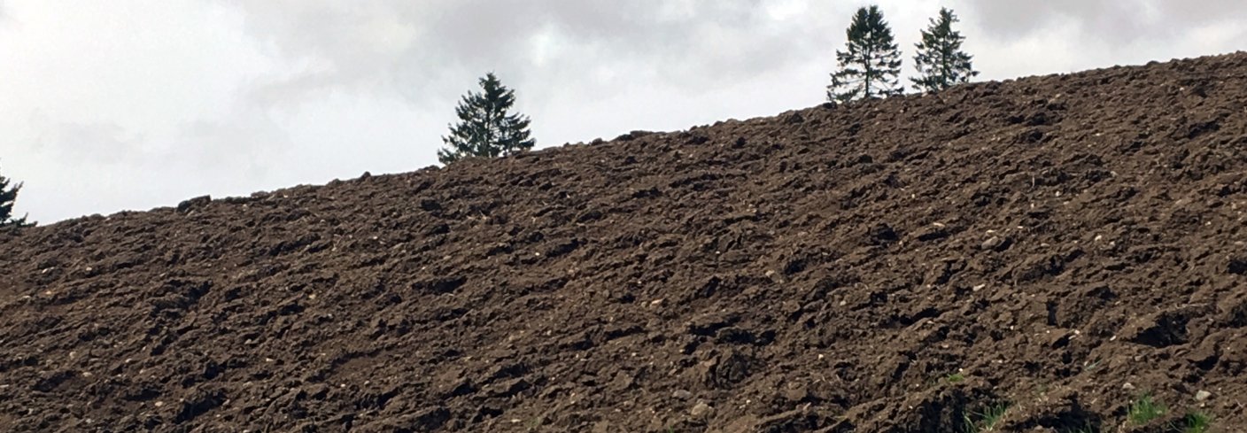 Lystgass utgjør en viktig del av klimagassutslippene fra landbruket. Foto: Anita Land