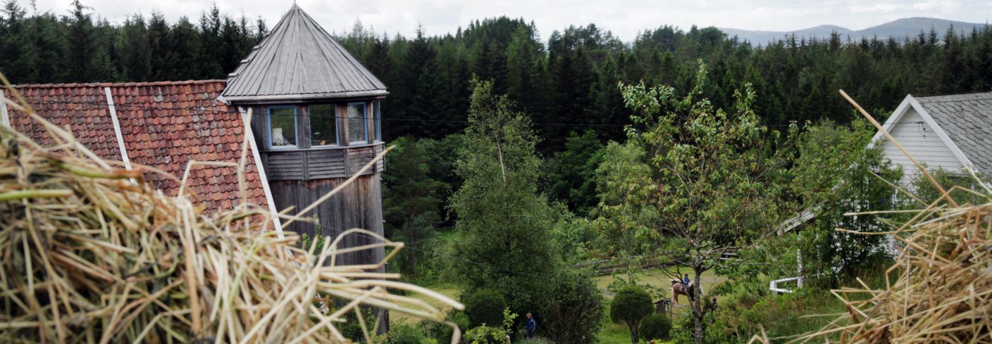 Siloen på Søre Skogen inneheld kjøkken, soverom og «tenketårn». Foto: Anita Land