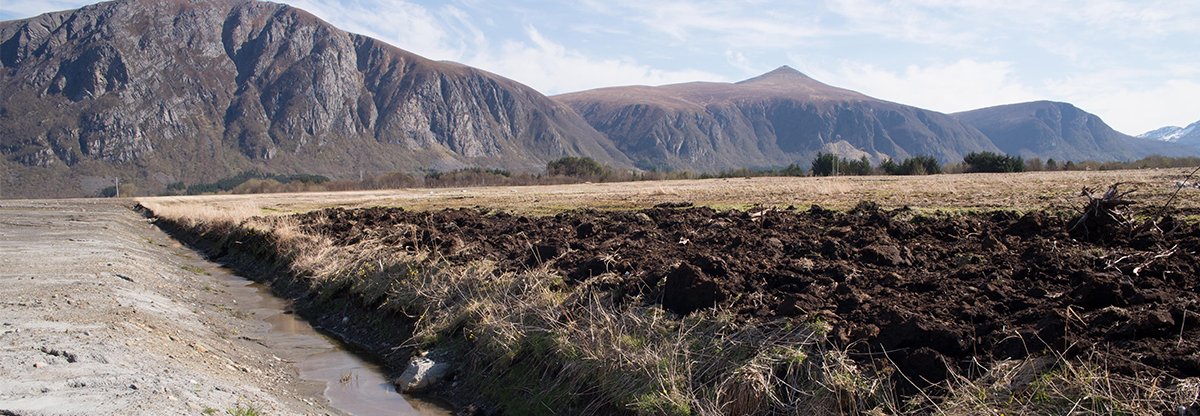 JORDFORBEDRINGSMIDDEL: Steinmjøl kan være aktuelt som jordfordbedringsmiddel på myr (bildet) eller mager sandjord. Foto: Sissel Hansen