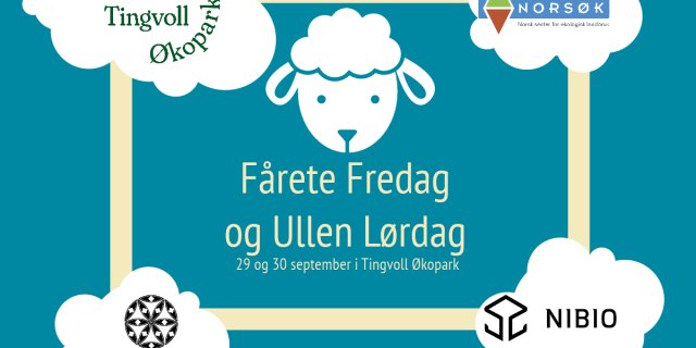 Fårete Fredag 1