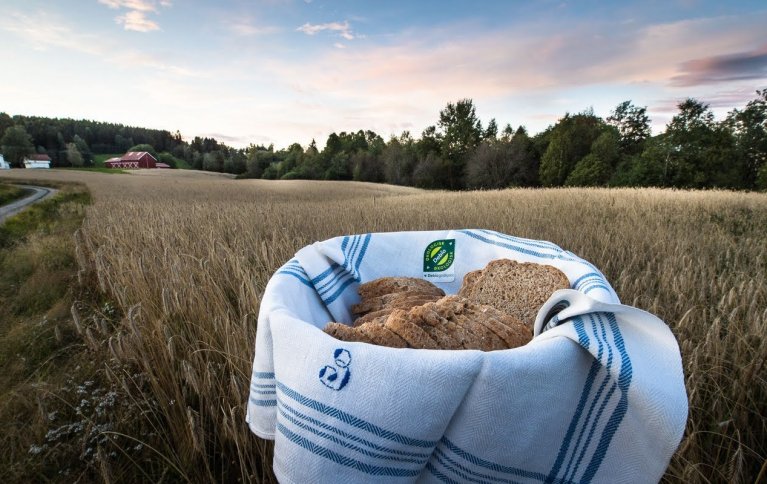 OPPDATERTE REGLER: Nytt regelverk for økologisk produksjon er rett rundt hjørnet i Norge. NORSØK har laget en rekke publikasjoner for å møte nye regler med praktiske løsninger. Foto: Debio