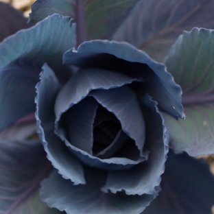 Test Jl 2368 1024X453 Test Jl 2368 1024X453