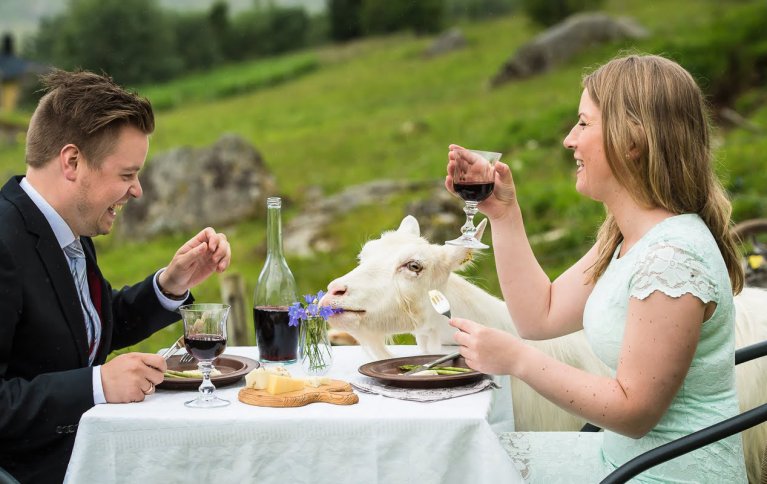 De  områdene i Norge egner seg ikke til korndyrking, og det meste av kornet vi dyrker her egner seg heller ikke til brødbaking. Jordbruket utenfor de beste jordbruksområdene består vesentlig av eng og beite, godt egnet til dyrefôr. . Foto: Debio