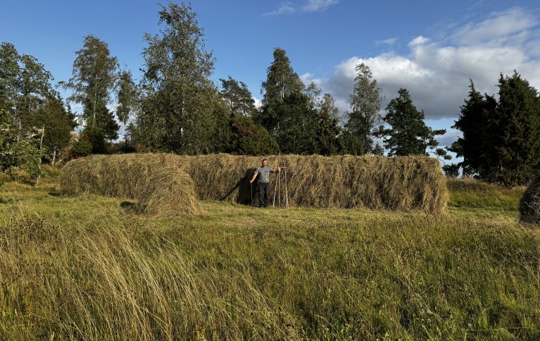 Her står Emil etter slått med ljå på Rävbacken. Foto: Emil V. Nilsson